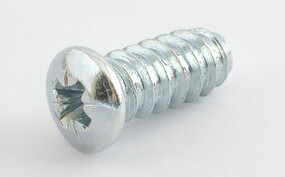 Euro screw with dome head